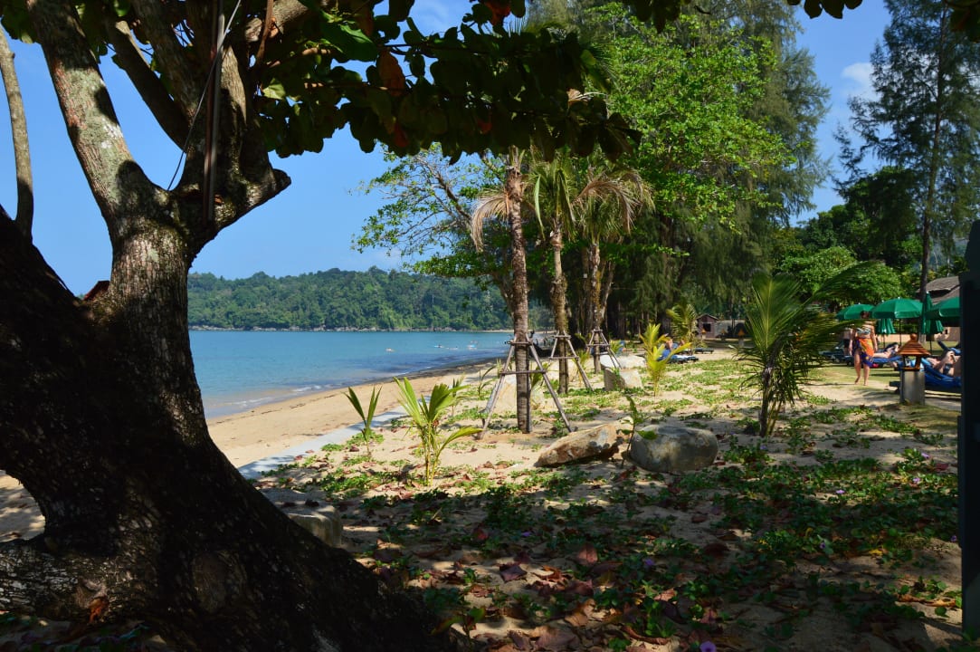 Der Wahre Traum dieser Strand Khao Lak Merlin Resort