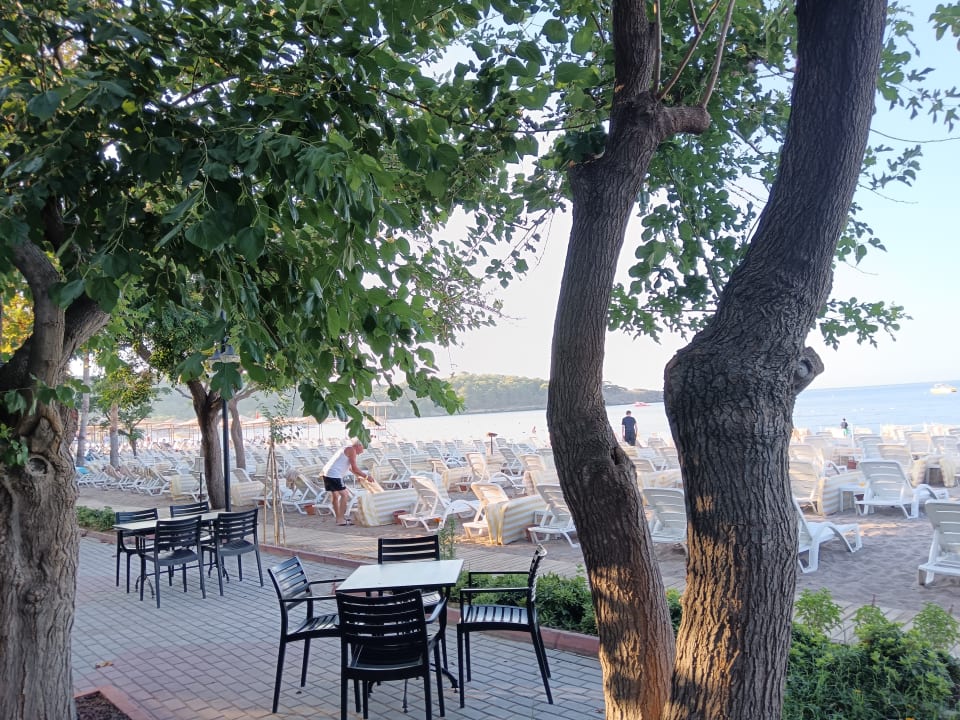 Strand Hotel Gardenia Beach