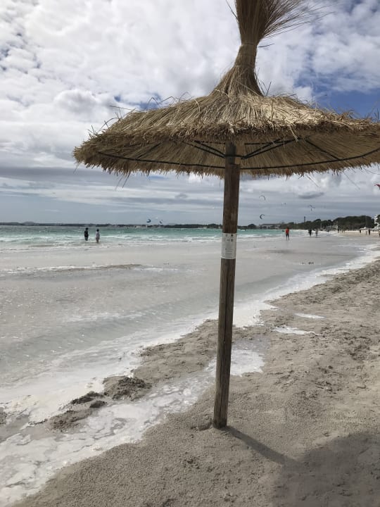 Strand Alcudia Garden Aparthotel