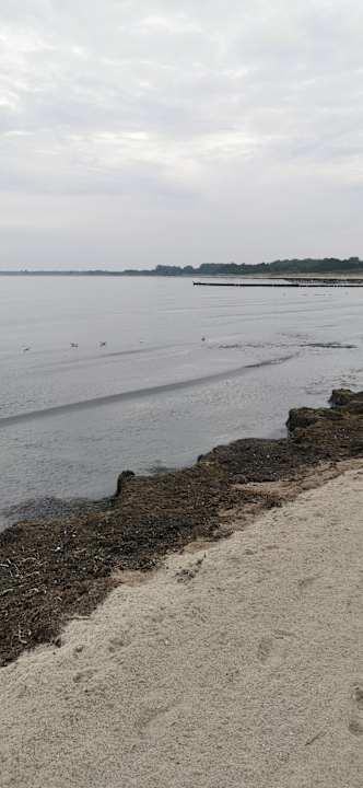 Strand Hotel Yachthafenresidenz Hohe Düne