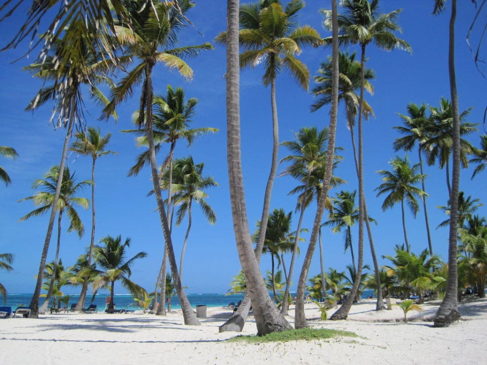 Am Strand... Villas Bavaro Resort & Spa