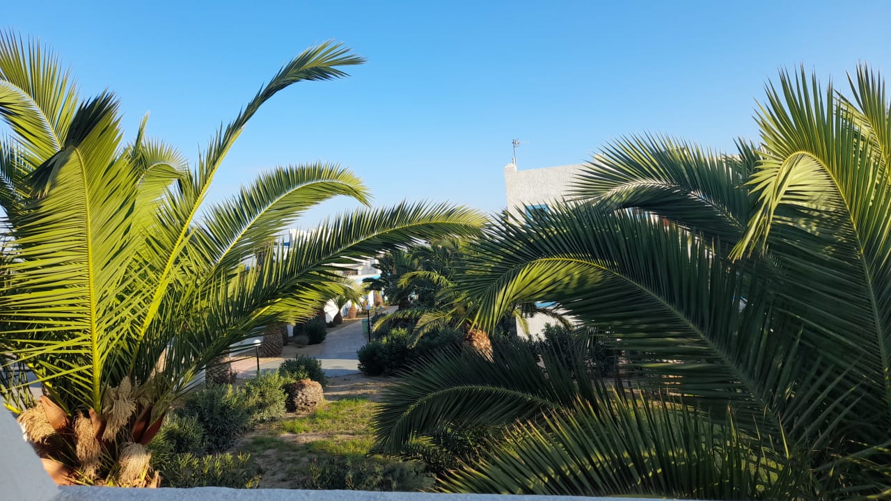 Ausblick Kalimera Mare