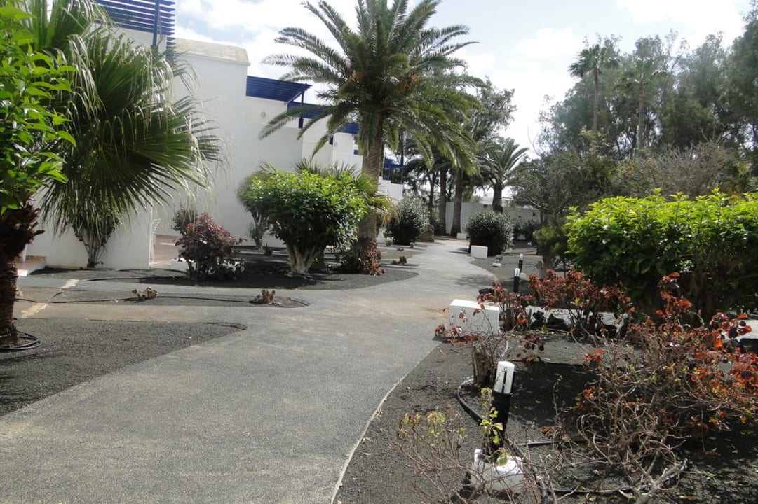 Rückseite Apartments Relaxia Olivina