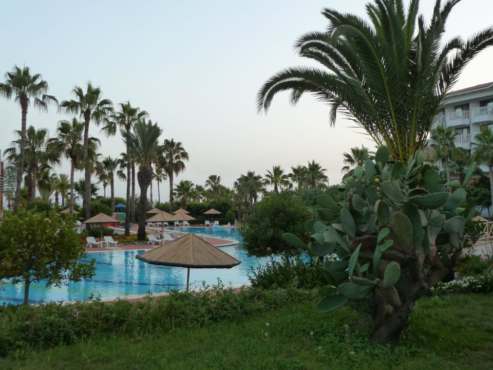 Pool und Garten Hotel Defne Garden