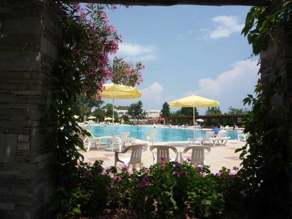 Poolanlage Hotel Athos Palace