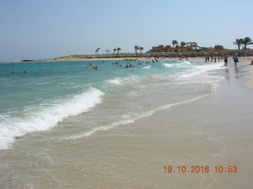 Hotel w tle Malikia Resort Abu Dabbab