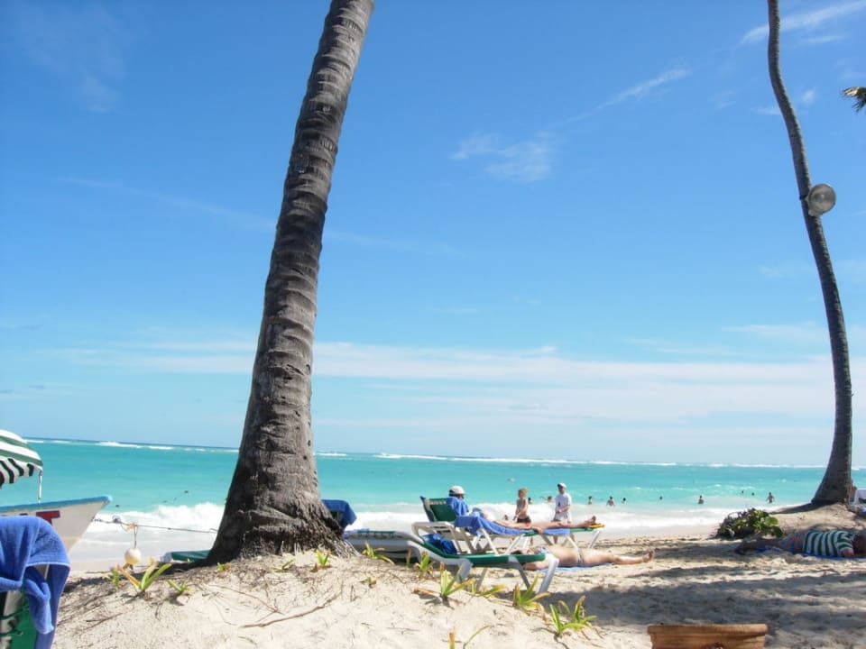 Entspannung pur! Grand Palladium Punta Cana Resort & Spa