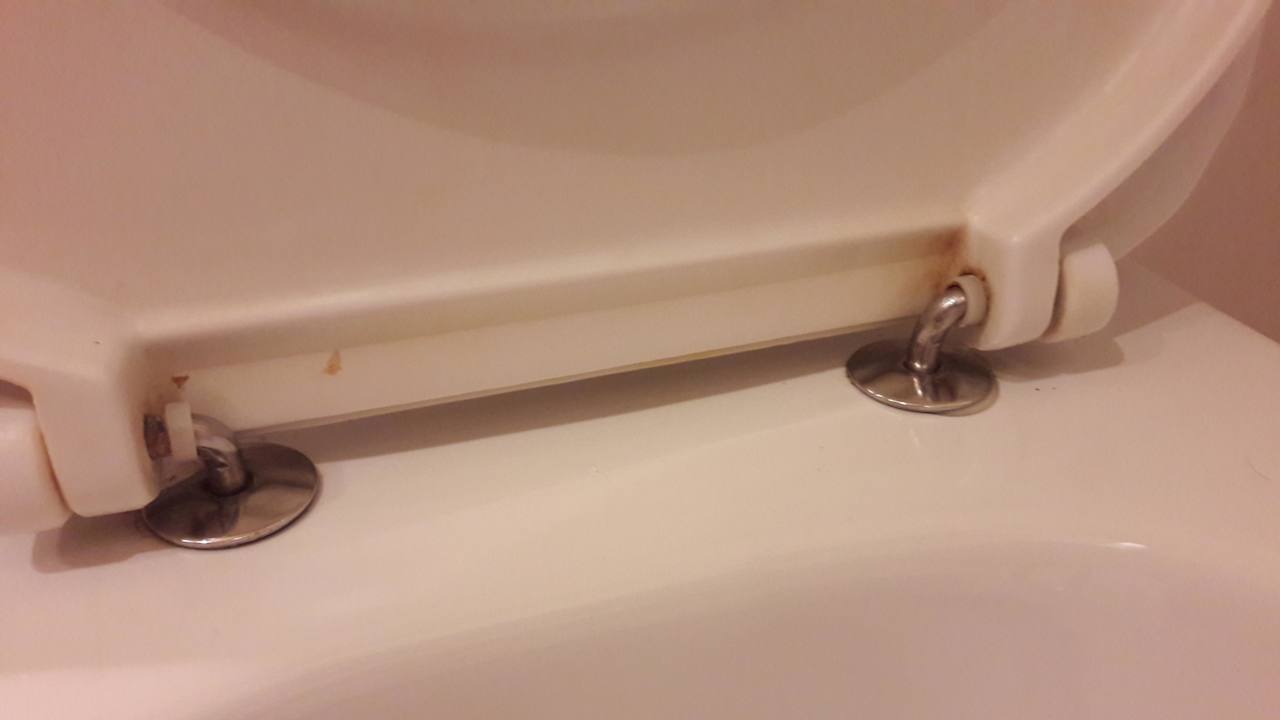 Klodeckel mit Fäkalrückständen Hotel Traunerhof