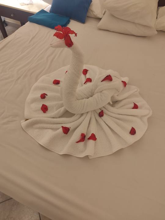 Zimmer Casa Mare Resort