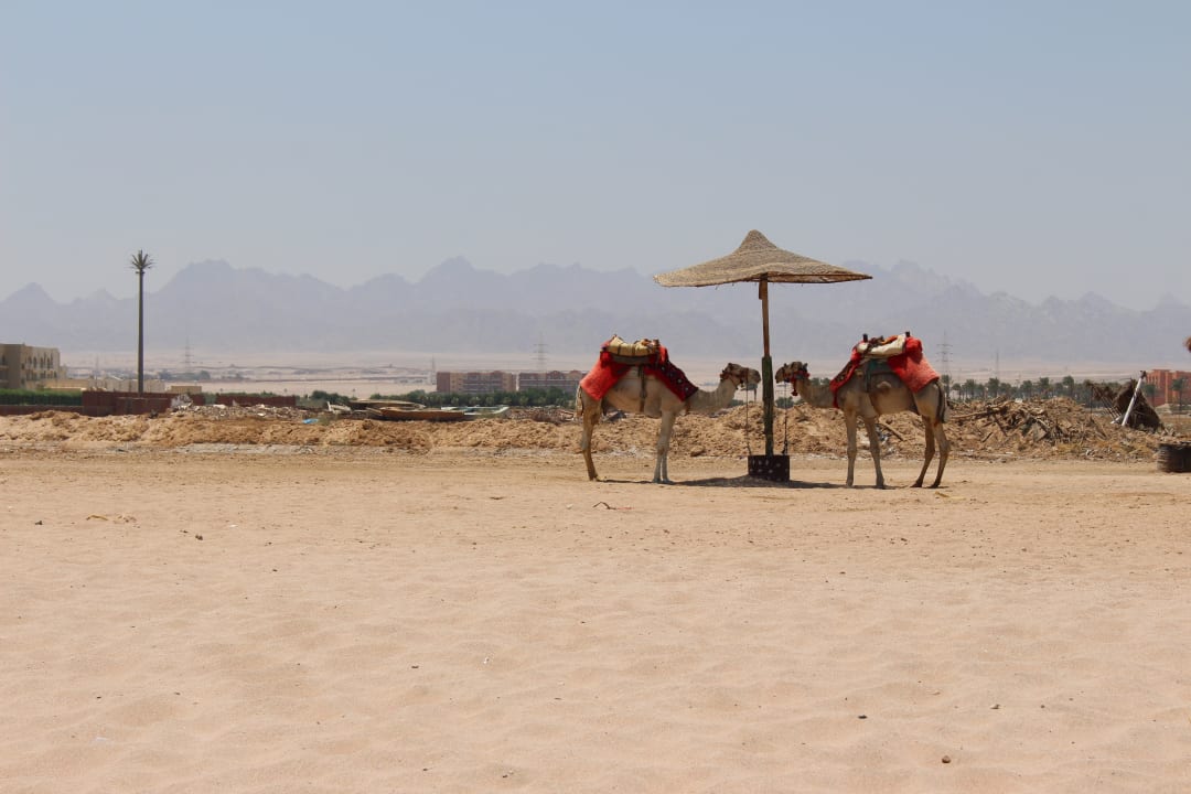 Strand Sentido Caribbean World Soma Bay