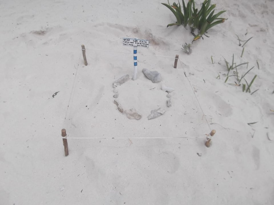 Schildkrötennest Akumal Bay Beach & Wellness Resort