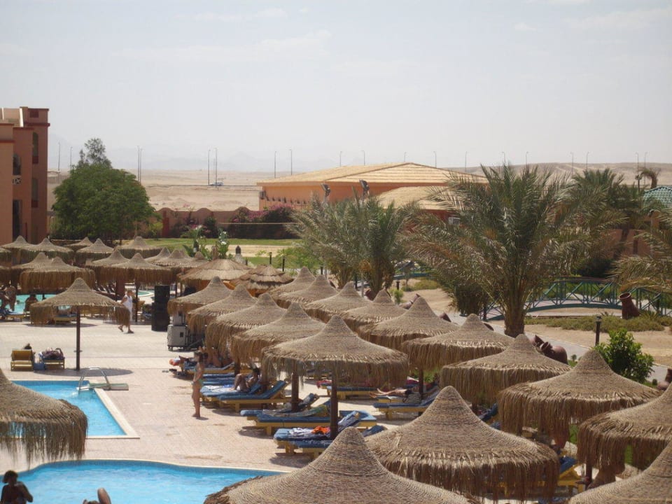Blick über einen Teil des Pools Pickalbatros Aqua Park Resort - Hurghada