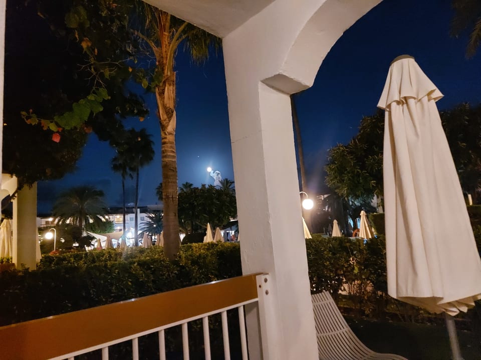 Ausblick Alcudia Garden Aparthotel