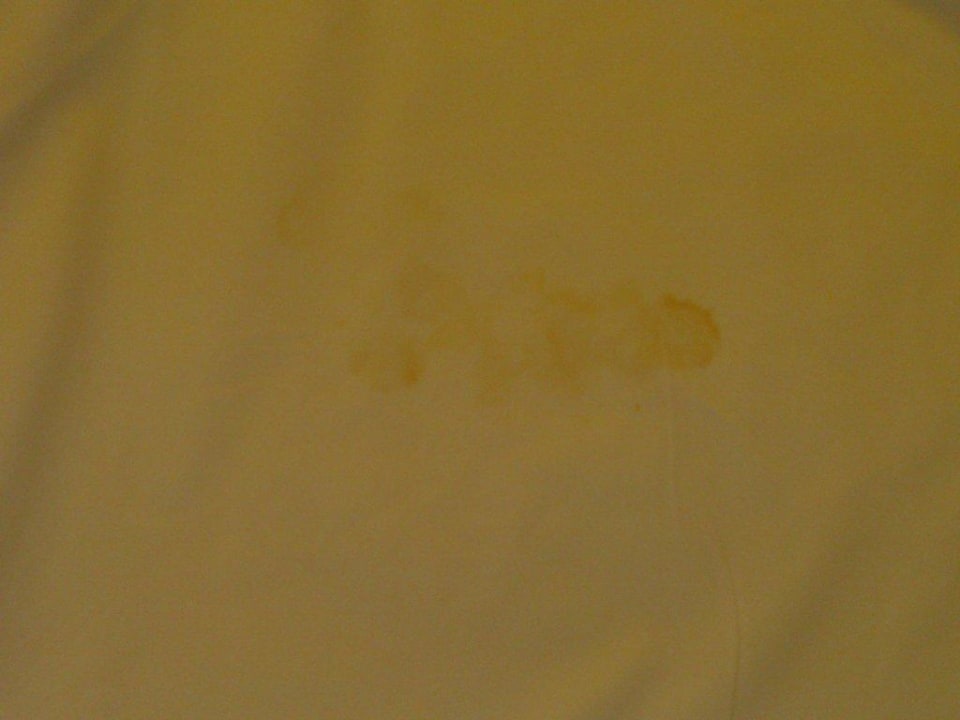 Urinflecken Hotel Orient Suite