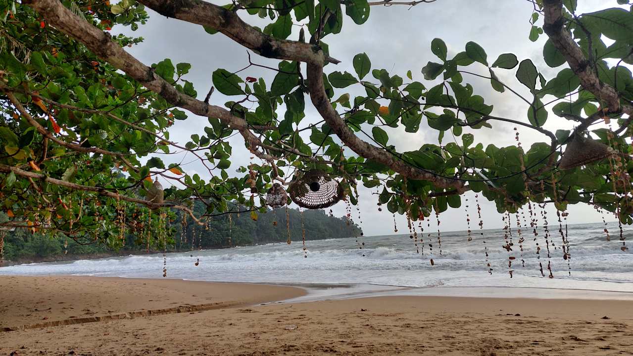 Sonstiges Moracea by Khao Lak Resort