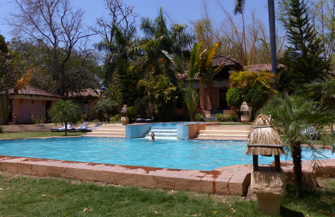 Pool Tuli Tiger Resort