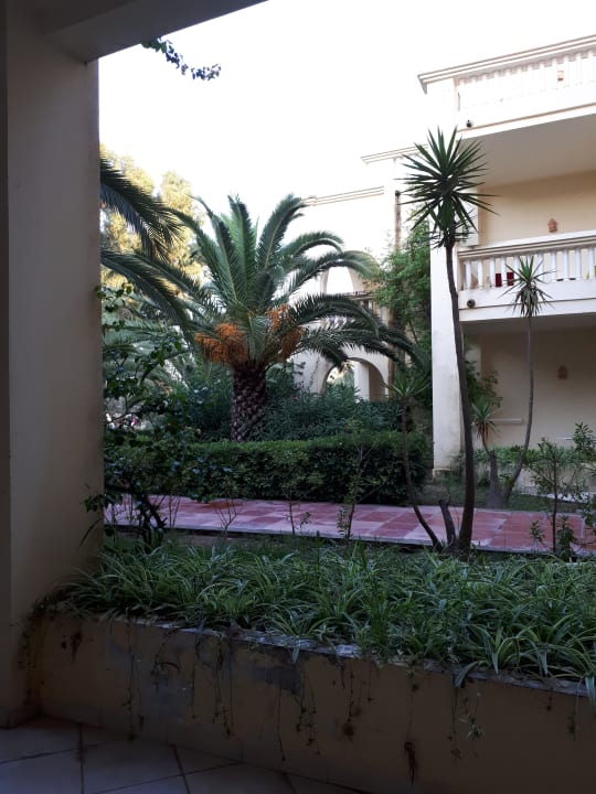 Gartenanlage Hotel Africa Jade Thalasso