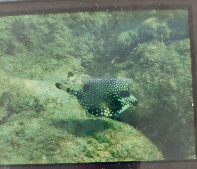 Sport & Freizeit Bahia Principe Grand El Portillo