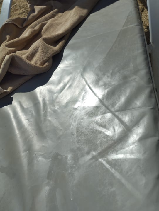 Strand Long Beach Club Nature