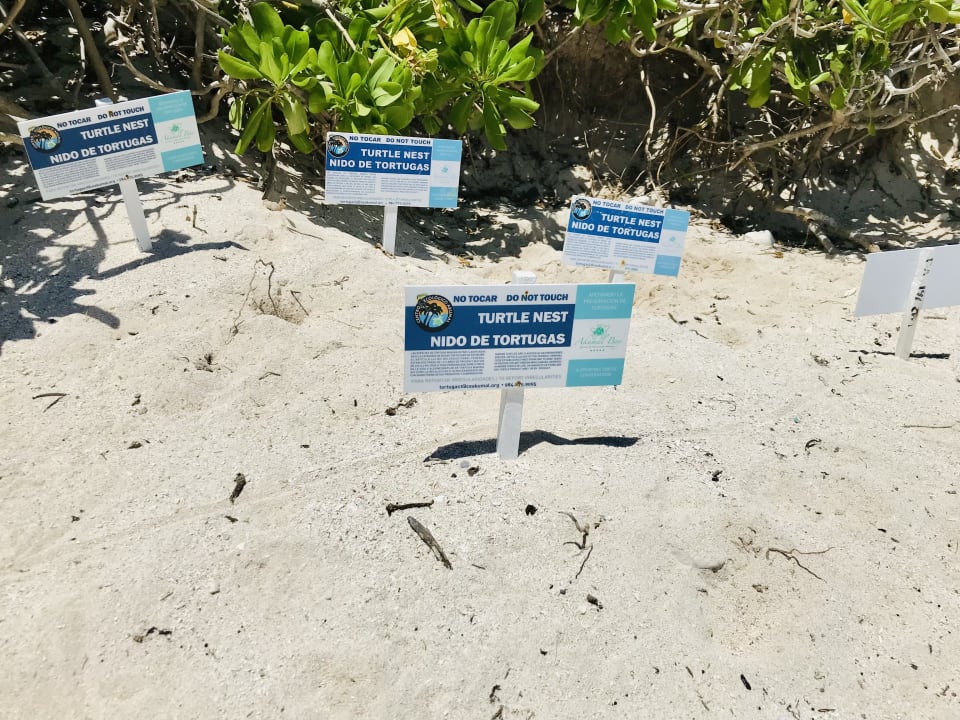 Sonstiges Akumal Bay Beach & Wellness Resort