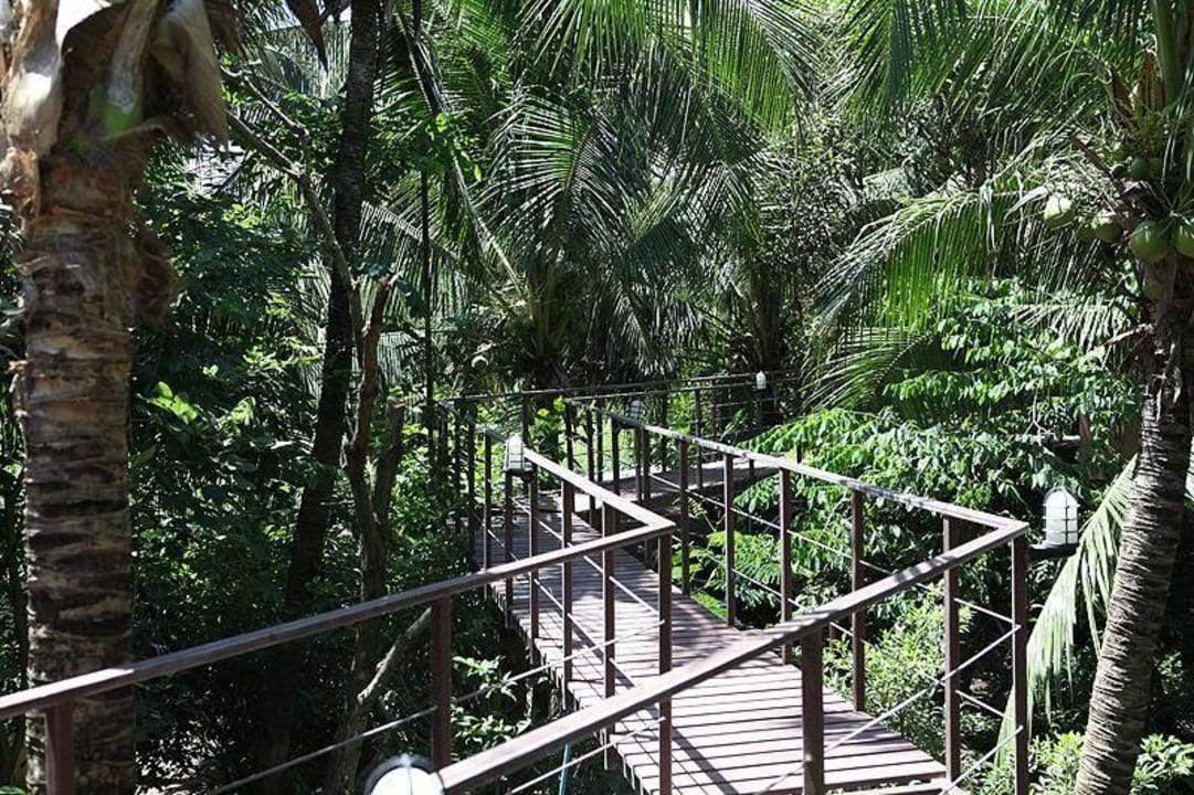 Hochweg 4 Meter ueber Boden Adventure Resort Thailand