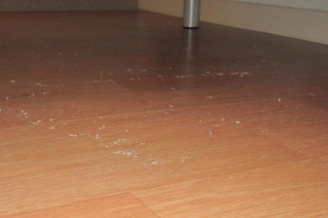 Lange Haare im ganzen Zimmer B&B HOTEL Flensburg-City