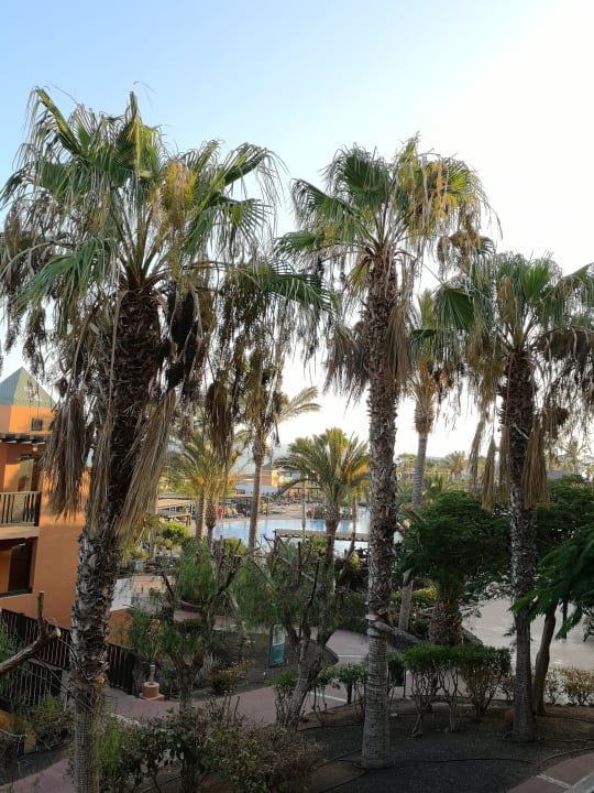 Außenansicht Occidental Jandía Playa