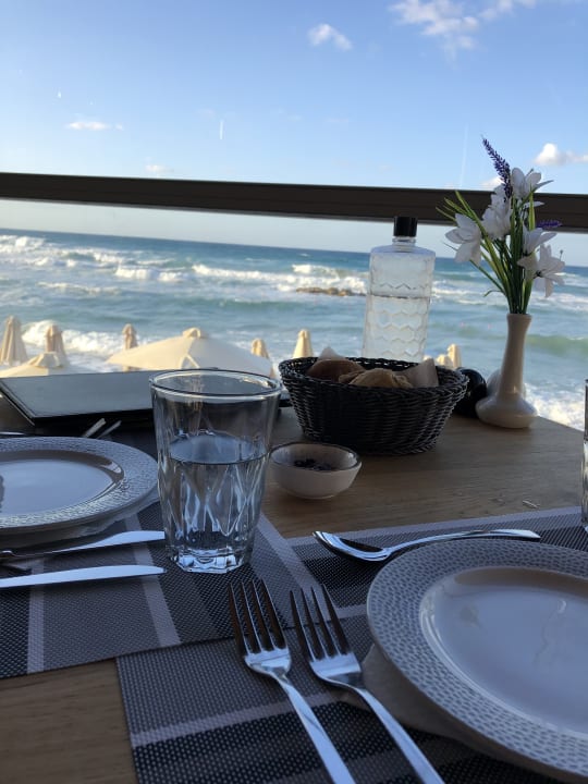 Gastro Cactus Beach
