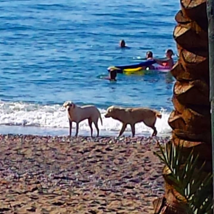 Impressionen Hotel Yetkin