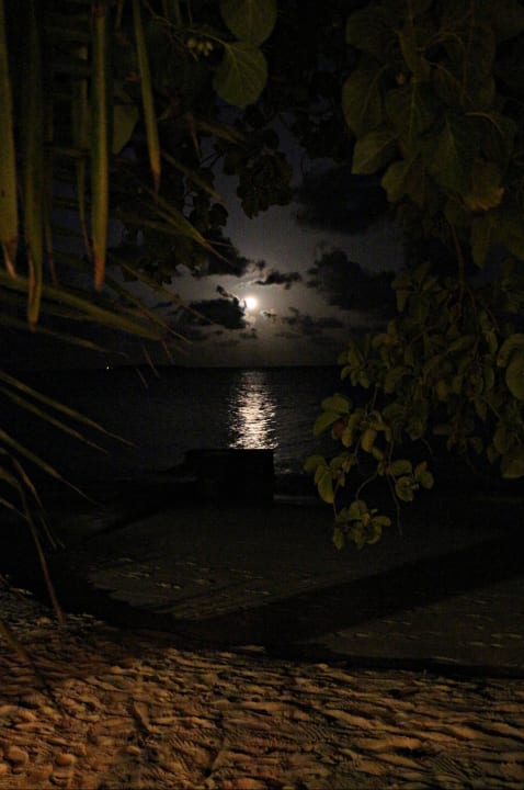 Vollmond an der Sunsetbar Adaaran Select Meedhupparu Island Resort - Premium All Inclusive