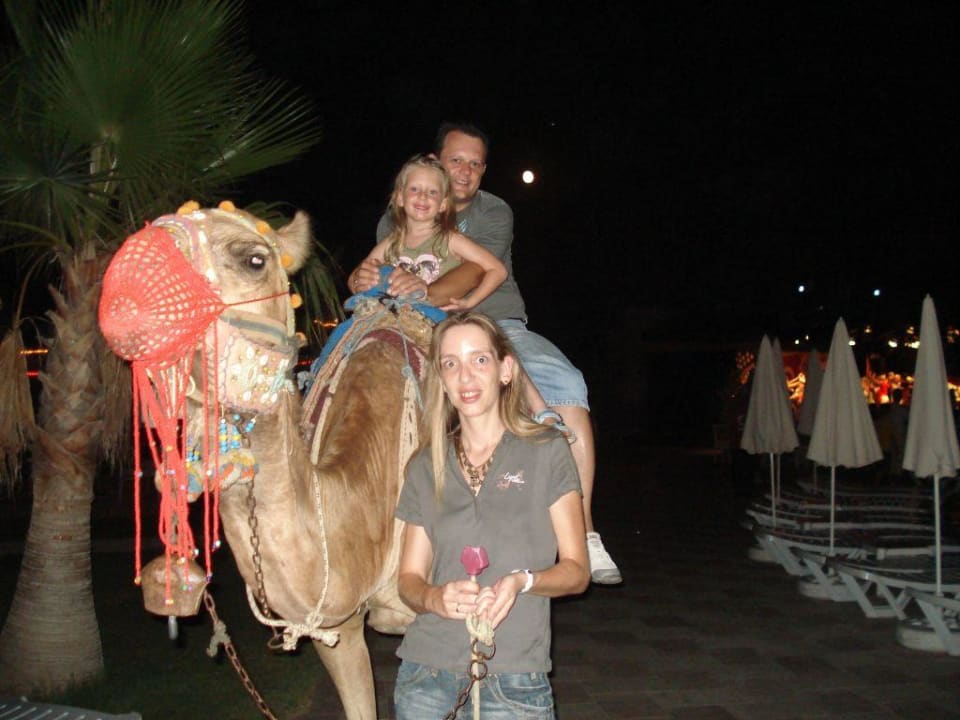 Türkischer Abend FUN&SUN Smart Hane Sun Hotel