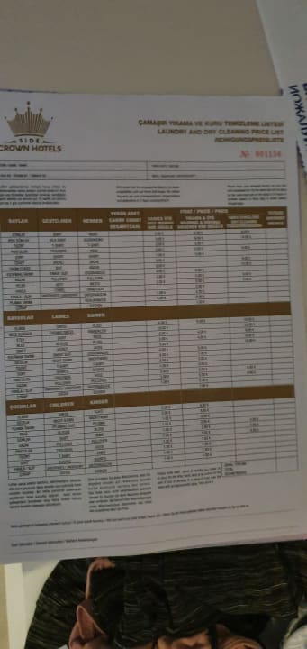 Zimmer Seashell Vega