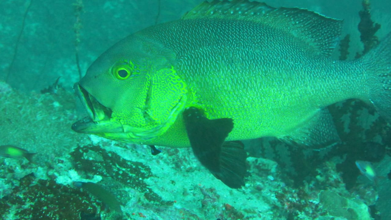 Sport & Freizeit Kudafushi Resort & Spa