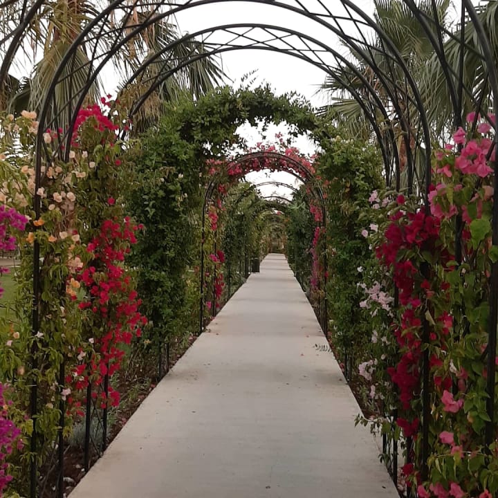 Gartenanlage Hotel Novum Garden Side