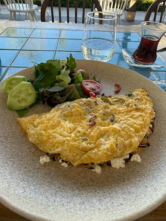 Gastro Acanthus Cennet Barut Collection