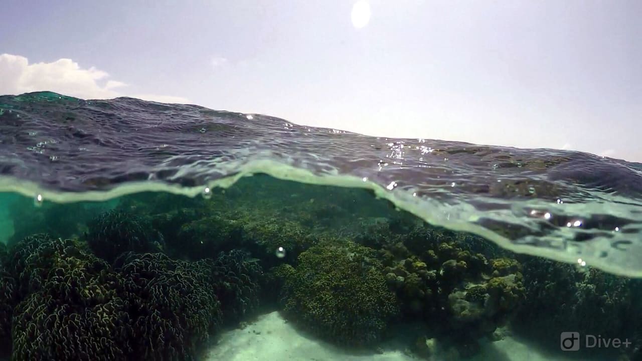 Sonstiges Palm Beach Resort & Spa Maldives