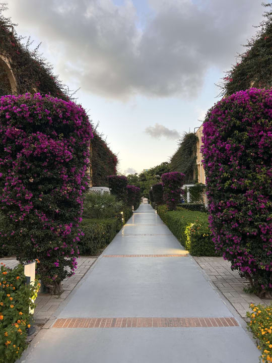 Außenansicht TUI MAGIC LIFE Calabria