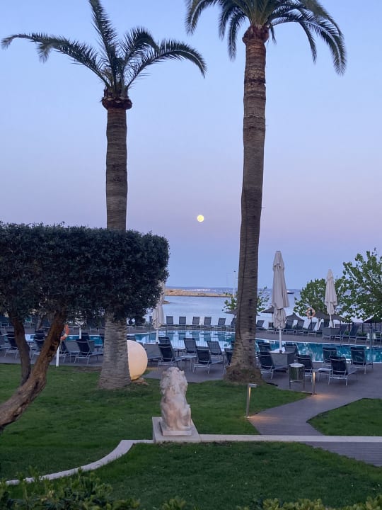 Pool Hotel Son Caliu Spa Oasis