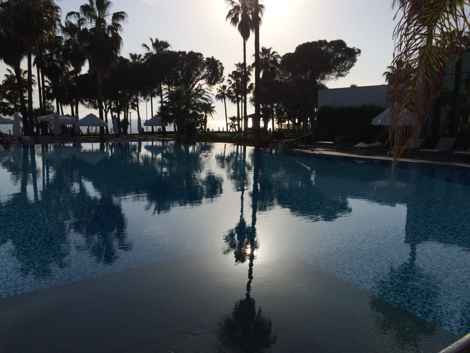 Pool Acanthus Cennet Barut Collection