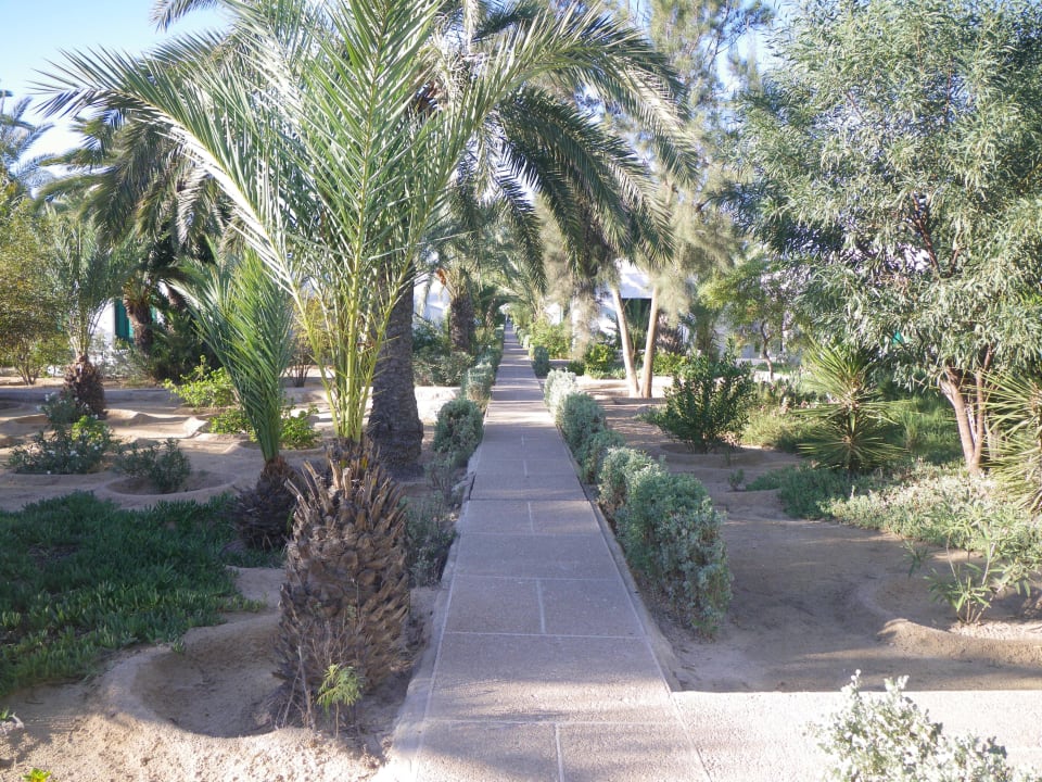 Gartenanlage Hotel Sangho Club Zarzis