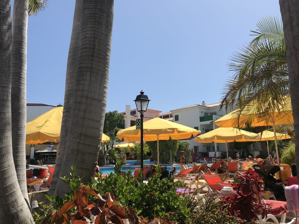 Pool Park Club Europe