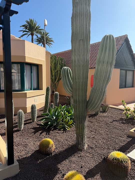 Außenansicht allsun Hotel Esplendido