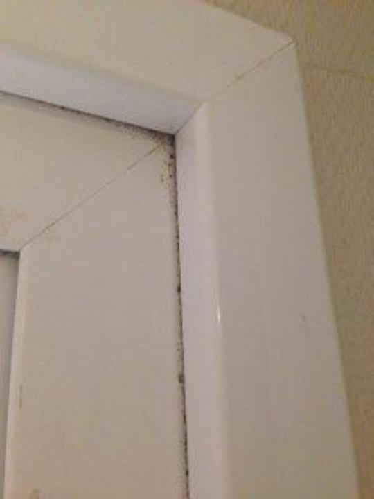 Schimmel am Schlafzimmerfenster Playa Park Zensation