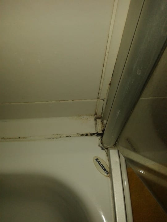 Dusche Ferienwohnungen Ferienpark Weissenhäuser Strand