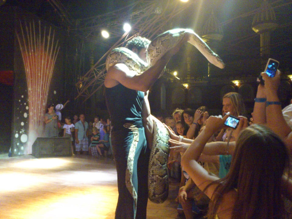 Animation am Abend! Pickalbatros Alf Leila Wa Leila Resort - Neverland Hurghada