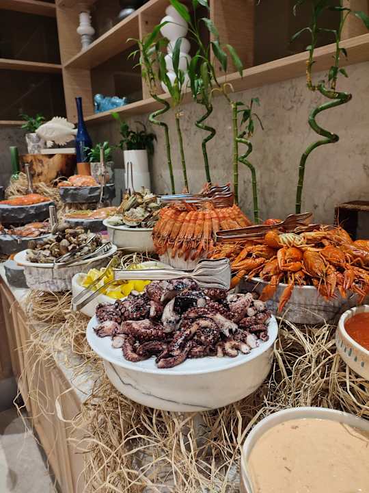 Gastro Acanthus Cennet Barut Collection