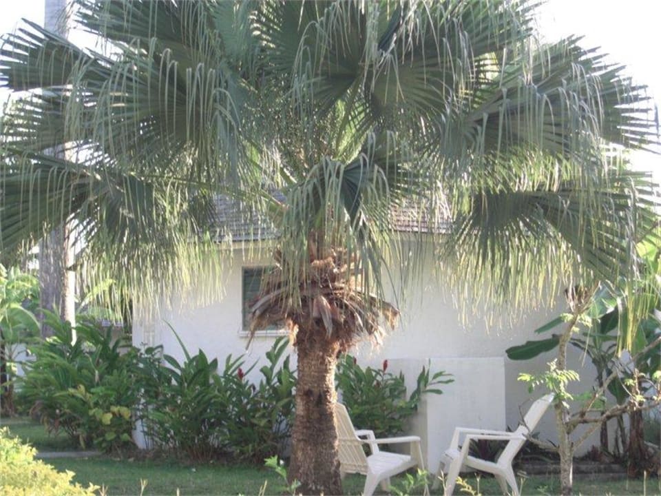 Vor dem Bungalow Grand Muthu Club Caribbean Runaway Bay