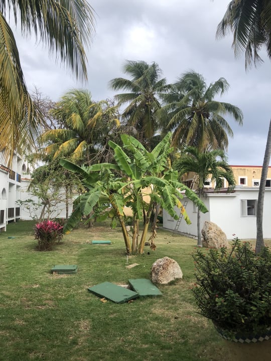 Gartenanlage Starfish Cuatro Palmas