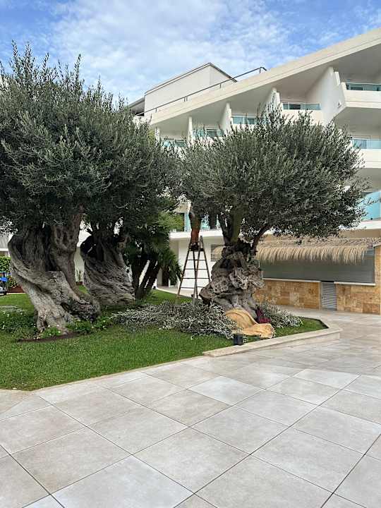 Gartenanlage Iberostar Waves Playa de Muro