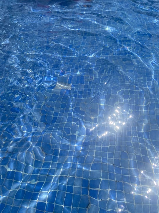 Pool TUI SUNEO Chrissi Amoudia